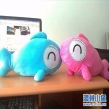 写装修日记 拿小鱼礼品