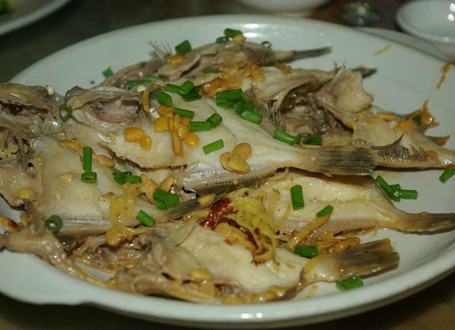 http://u.xmfish.com/tui/1755585