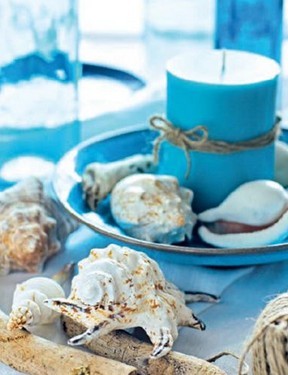  迷上海洋 足不出户呼吸海洋味道