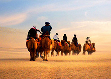 去西北,把河山喝醉