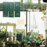 寻间老屋，养只花猫，开个铺子，组一个家