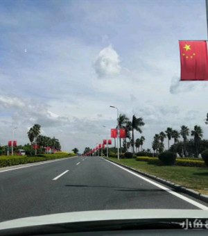 厦门一路上的美丽风景线