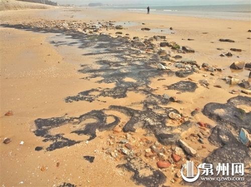 惠女湾古泥炭层遗迹公园预计再过一个月左右完工