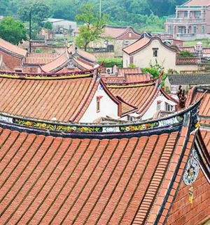 吃美食看动物还能学知识