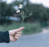 我想把故事从头讲